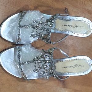 Silver Evening Shoes